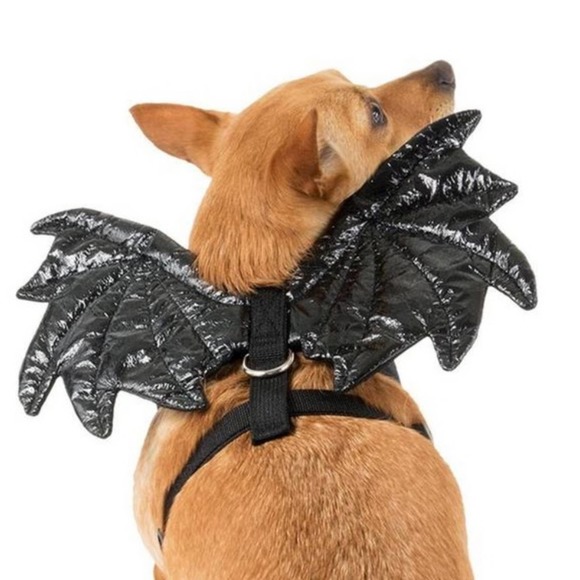 PUP CREW Dog Nwt Pup Crew Metallic All Black Goth Bat Dragon Wing